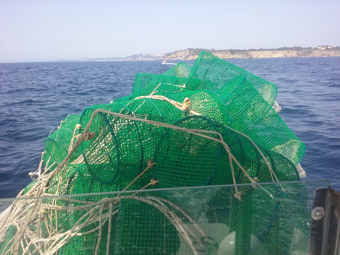 Le “sentinelle del mare” chiamate a dare supporto alla Capitaneria di Procida